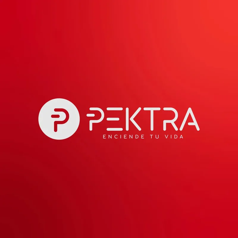 Sopladora Aspiradora Electrico 2500w Pektra Bolsa De Hojas - Stock disponible - Herramientas